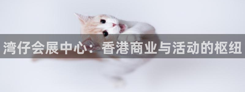 果博平台真实吗安全吗可信吗是真的吗：湾仔会展中心：香港商业与活动的枢纽