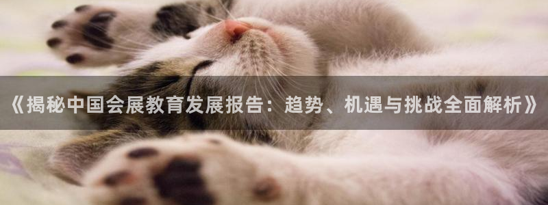 果博公司