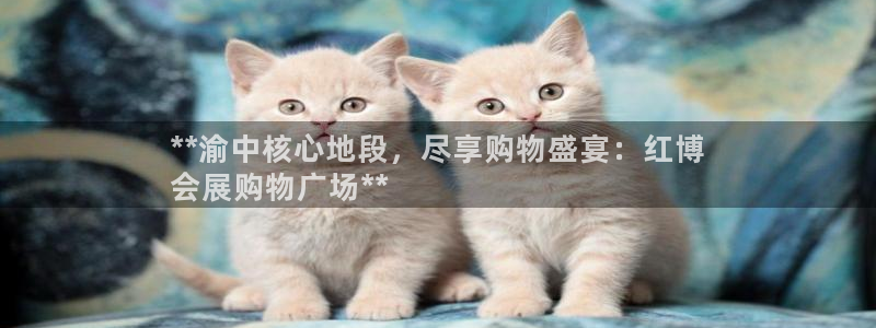 果博注册客服电话是多少：**渝中核心地段，尽享购物盛宴：红博
会展购物广场**