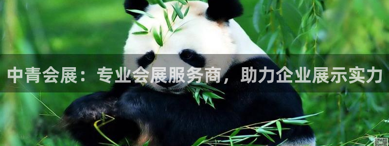 果博平台苹果电脑怎么下载：中青会展：专业会展服务商，助力企业展示实力