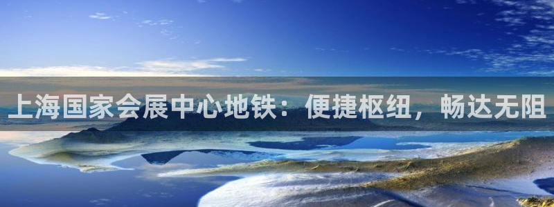 果博公司客服：上海国家会展中心地铁：便捷枢纽，畅达无阻