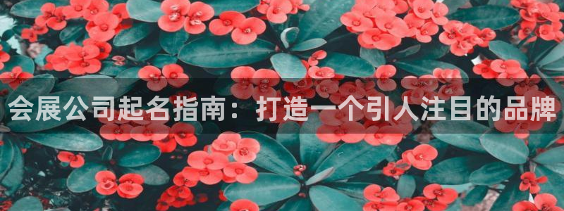 果博注册客服电话是多少啊：会展公司起名指南：打造一个引人注目的品牌