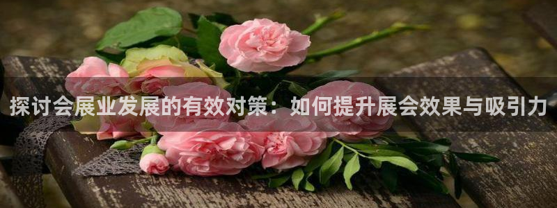 苹果电脑可以下载博易大师吗：探讨会展业发展的有效对策：如何提升展会效果与吸引力