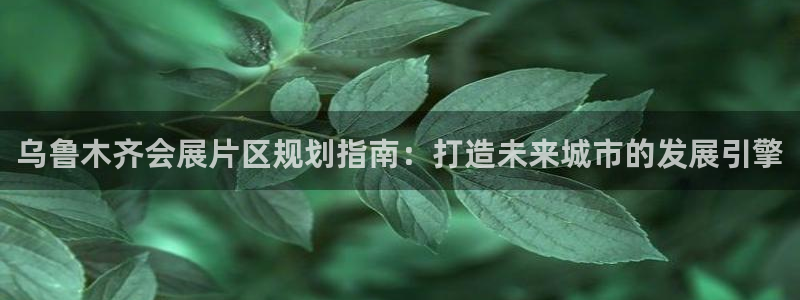 果博公司会员注册：乌鲁木齐会展片区规划指南：打造未来城市的发展引擎