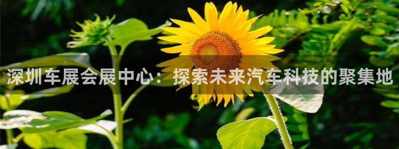 果博公司客服微信怎么加