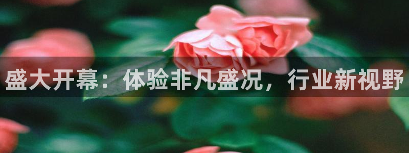 果博有假吗