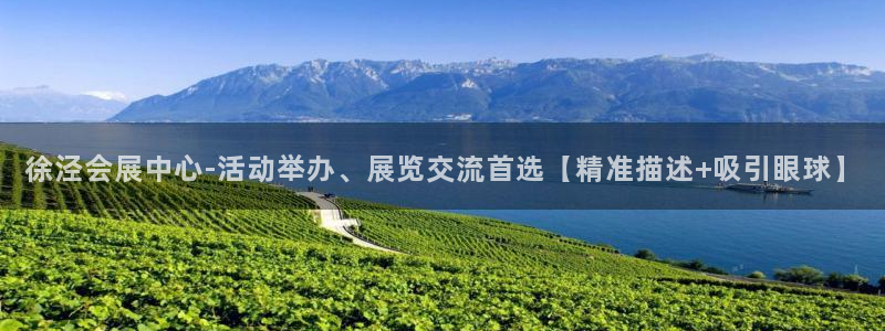 苹果电脑怎么下载博弈大师等软件：徐泾会展中心-活动举办、展览交流首选【精准描述+吸引眼球】