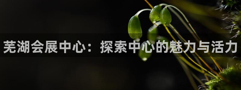 果博公司会员开户