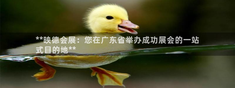 果博平台赖不赖：**映德会展：您在广东省
