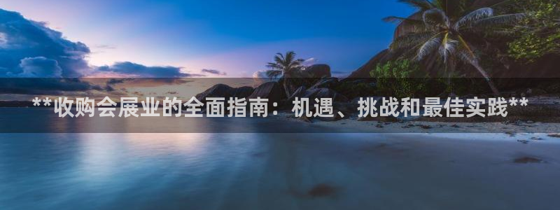 果搏东方客服：**收购会展业的全面指南：