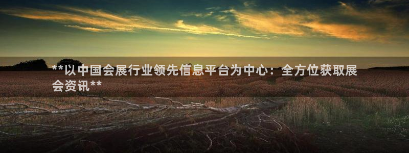 苹果电脑怎么下载伯索：**以中国会展行业