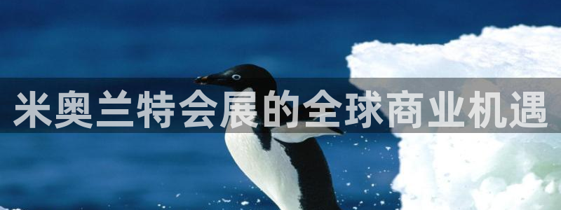 果博平台真实吗安全吗可信吗可靠吗：米奥兰