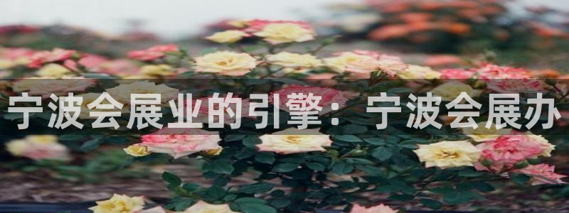 果博注册充值：宁波会展业的引擎：宁波会展