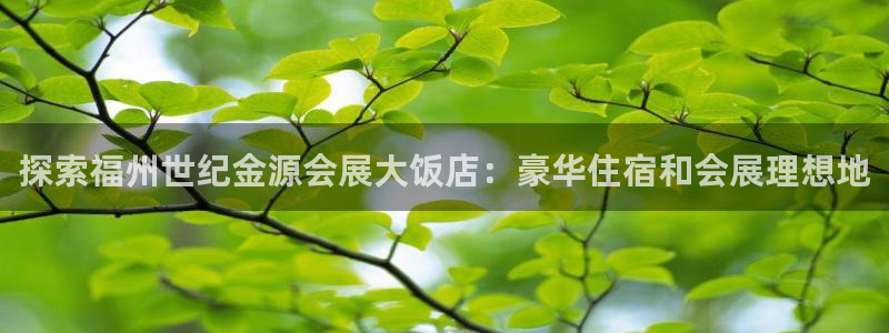 果搏代理：探索福州世纪金源会展大饭店：豪