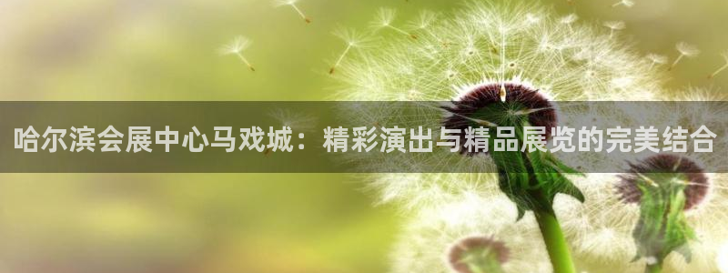果博公司会员注册账号开户：哈尔滨会展中心马戏城：精