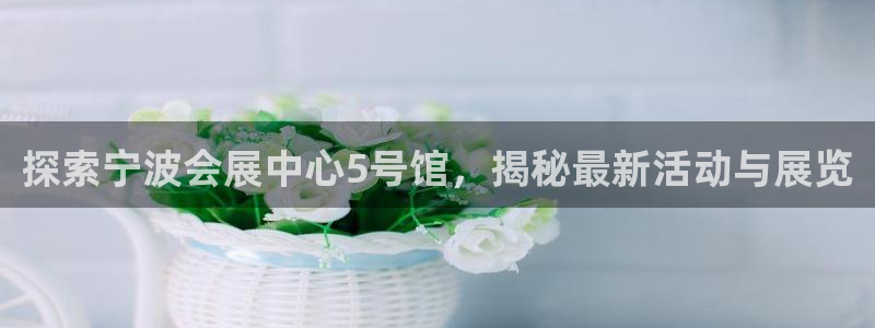 果博公司客服微信号是多少：探索宁波会展中