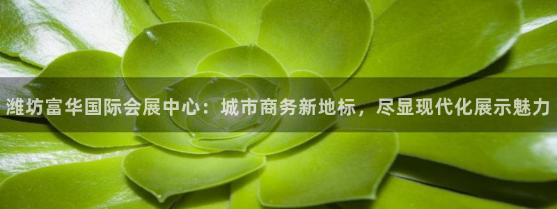 果博平台开户电话