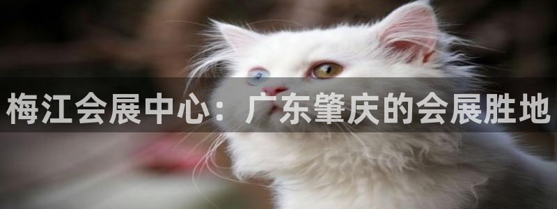 果博公司会员注册账号