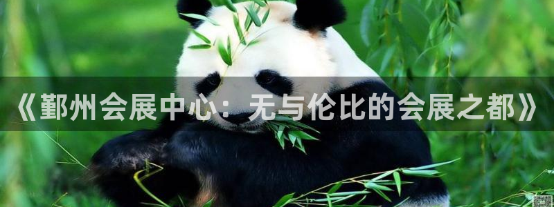 果搏代理：《鄞州会展中心：无与伦比的会展之都》