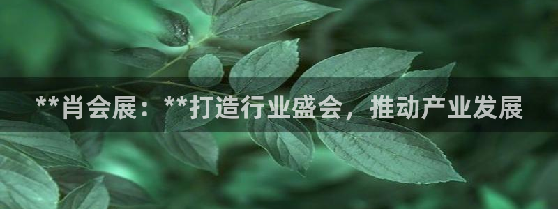 果博注册会员要钱吗：**肖会展：**打造