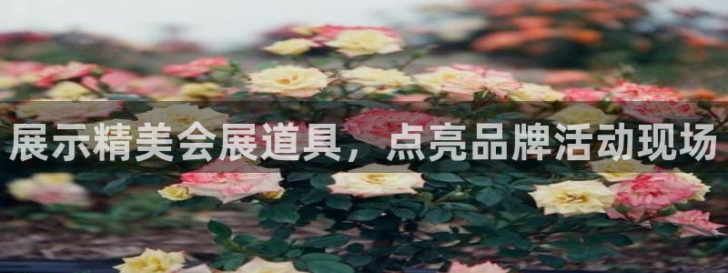下载果博：展示精美会展道具，点亮品牌活动现场