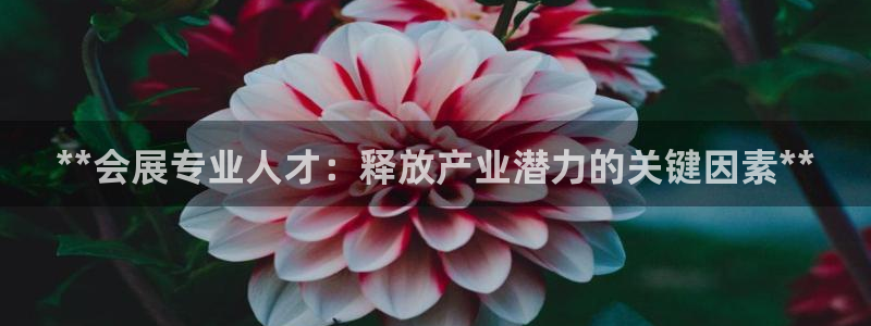 果博注册充值怎么充