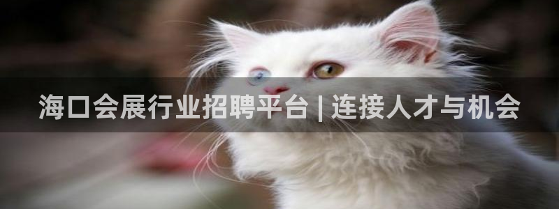 果博官网在银博