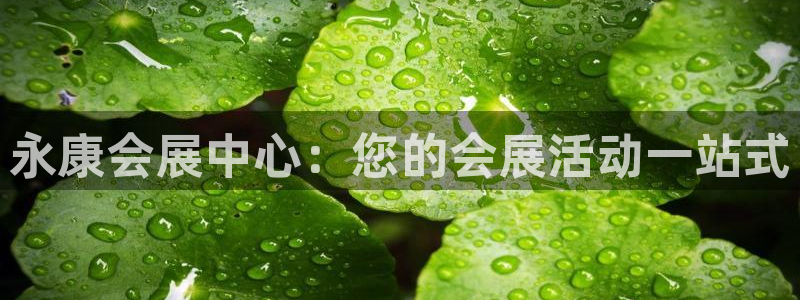 果博平台真实吗安全吗：永康会展中心：您的会展活动一