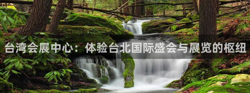 果博手机版官方下载：台湾会展中心：体验台