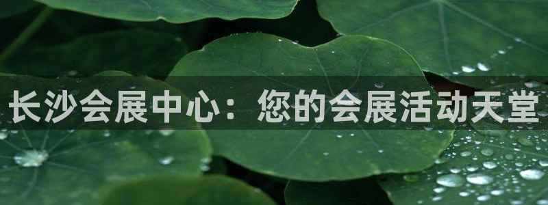 果博平台客服电话：长沙会展中心：您的会展活动天堂
